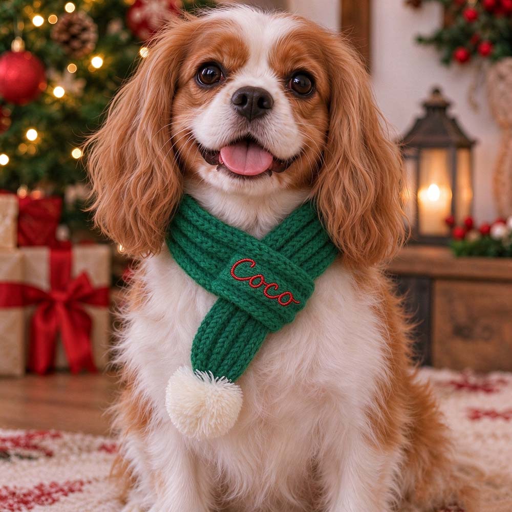 Personalized Embroidered Christmas Pet Scarf with Pom Pom
