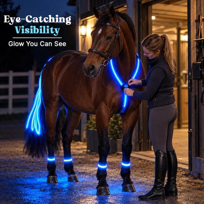 LAST DAY 50% OFF🐎Light-up Horse-riding Set – Glowing Fun for Little Riders! ✨