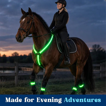 LAST DAY 50% OFF🐎Light-up Horse-riding Set – Glowing Fun for Little Riders! ✨