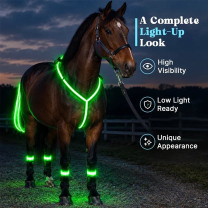 LAST DAY 50% OFF🐎Light-up Horse-riding Set – Glowing Fun for Little Riders! ✨
